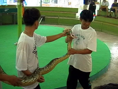 hi54.jpg